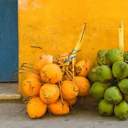 cartagenacolours